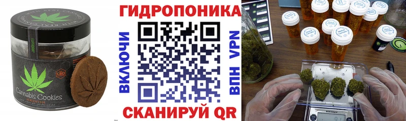 Купить закладки  Малоархангельск  Печенье с ТГК марихуана 