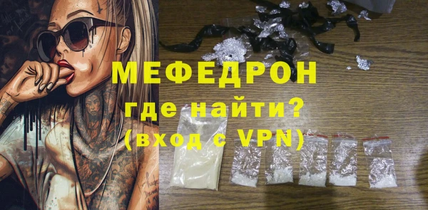 индика Дмитриев
