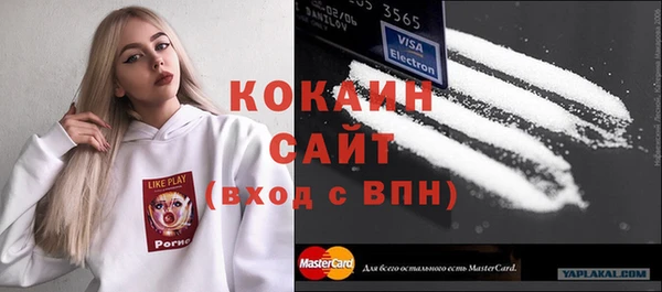 индика Дмитриев