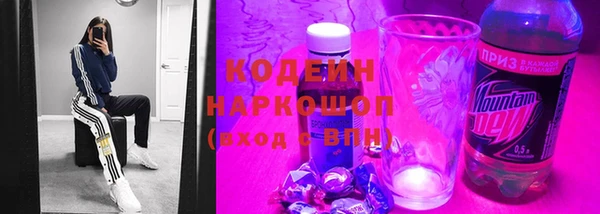 индика Дмитриев