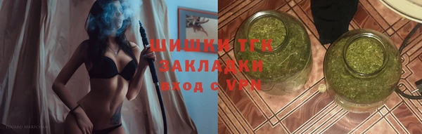 индика Дмитриев
