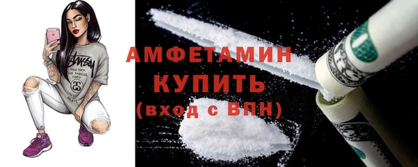 индика Дмитриев