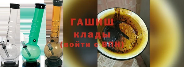 индика Дмитриев