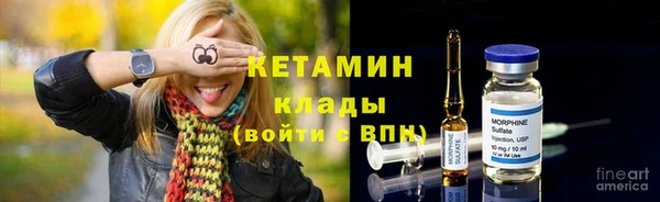 индика Дмитриев