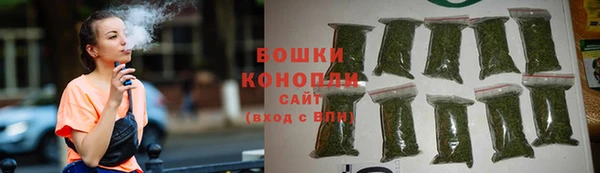 индика Дмитриев