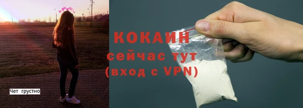 гидра Дмитров