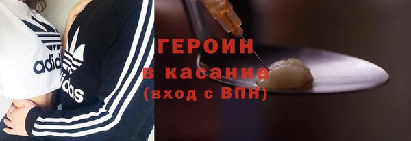 индика Дмитриев