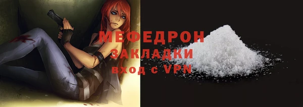 индика Дмитриев