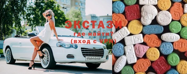 индика Дмитриев