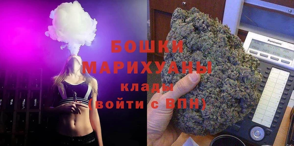 индика Дмитриев