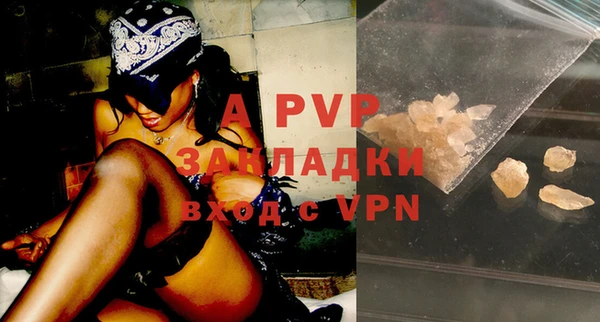 индика Дмитриев