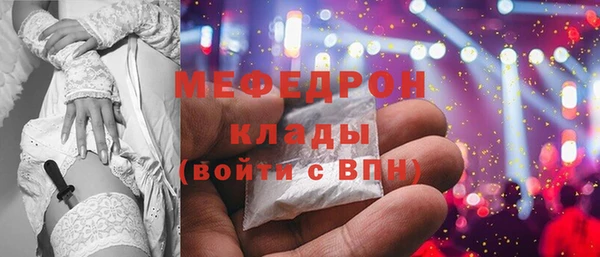 индика Дмитриев
