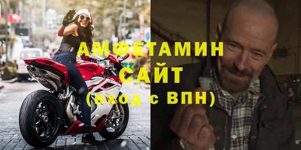 индика Дмитриев