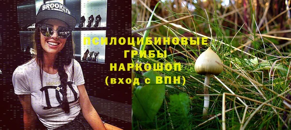 гидра Дмитров