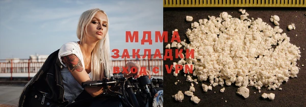 индика Дмитриев