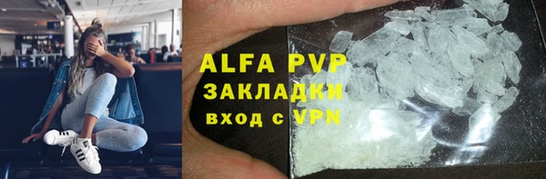 гидра Дмитров